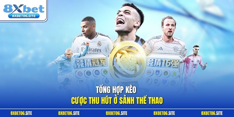 Tổng hợp kèo cược thu hút ở sảnh thể thao